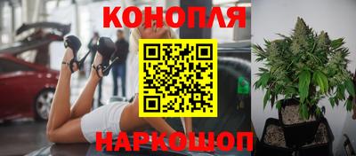 мдпв Ливны