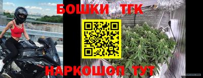 крисы Лесосибирск