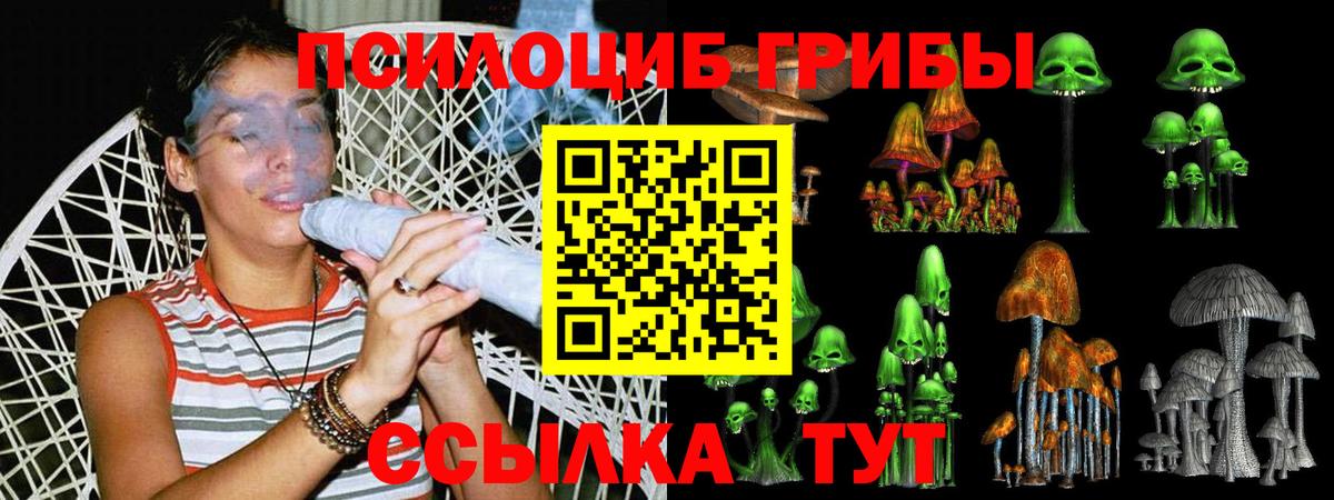 Псилоцибиновые грибы мухоморы Ейск