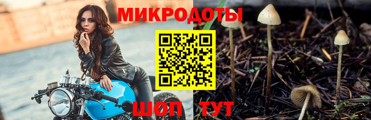 Ейск  Галлюциногенные грибы ЛСД  Псилоцибиновые грибы ЛСД  Вход с VPN 